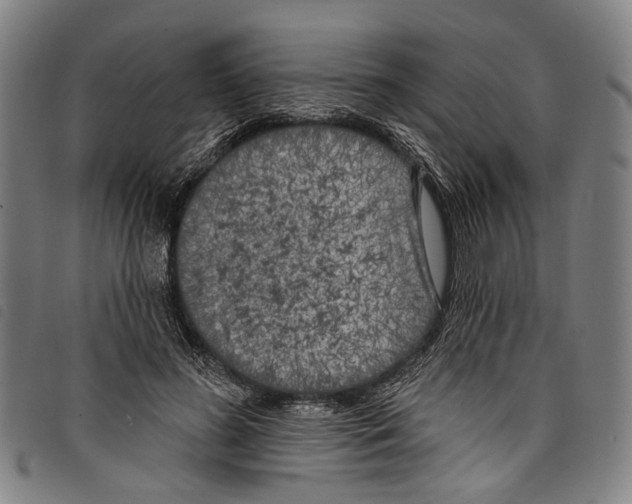 X0000097790596200804041238
