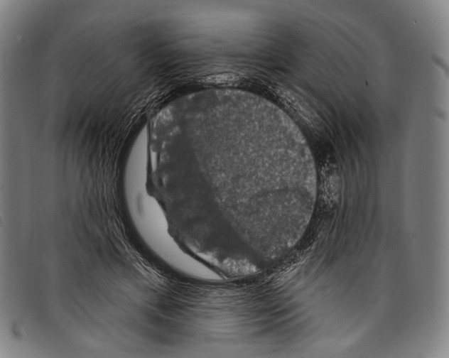 X0000097790597200804041238