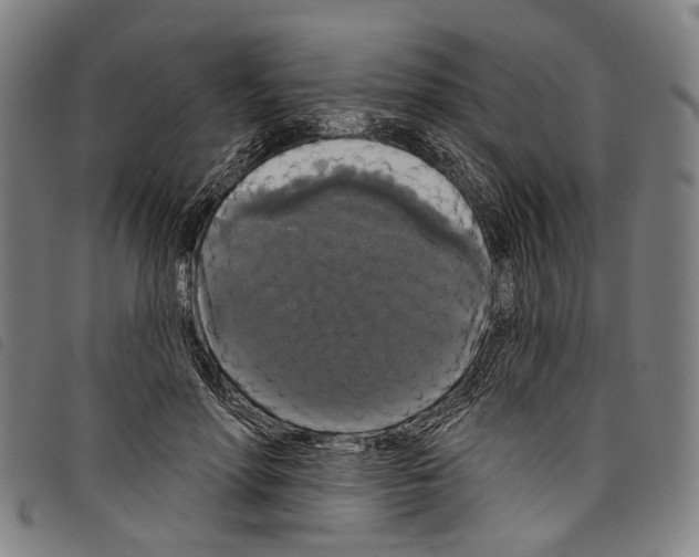 X0000097790598200804041238