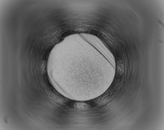 X0000097790605200804041237