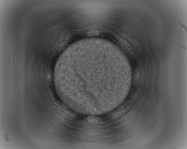 X0000097790608200804041237