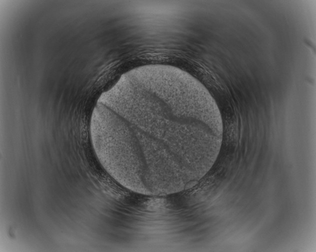 X0000097790609200804041237