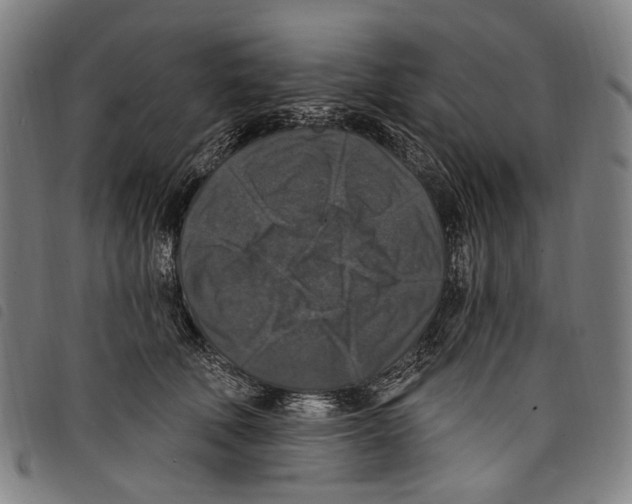 X0000097790610200804041237