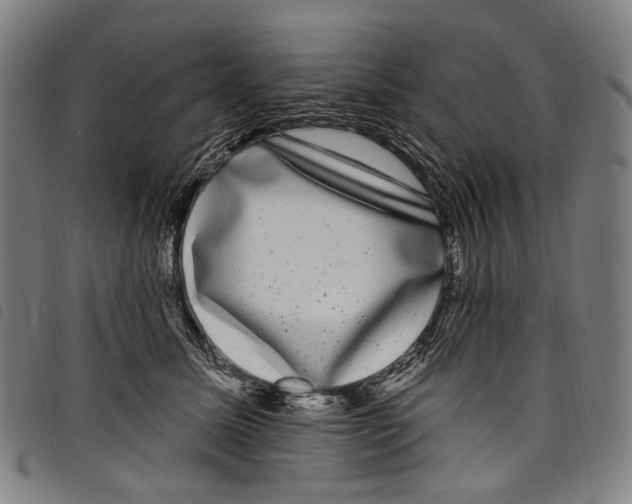 X0000097790611200804041237