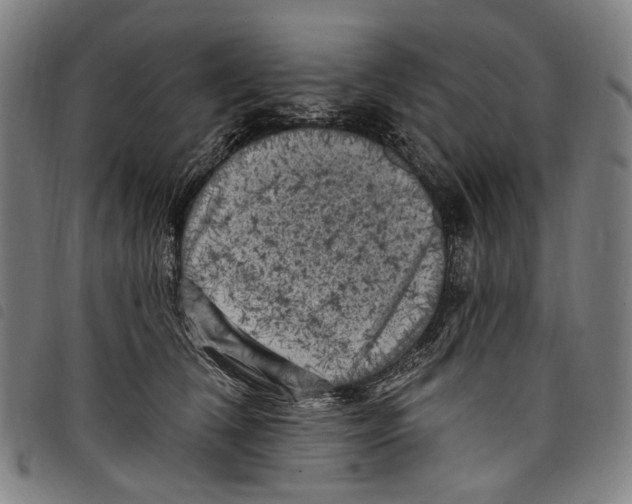 X0000097790612200804041237