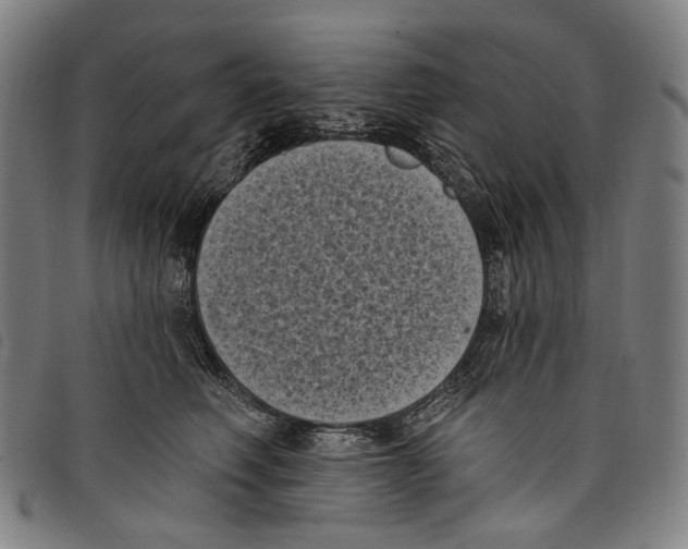 X0000097790614200804041237