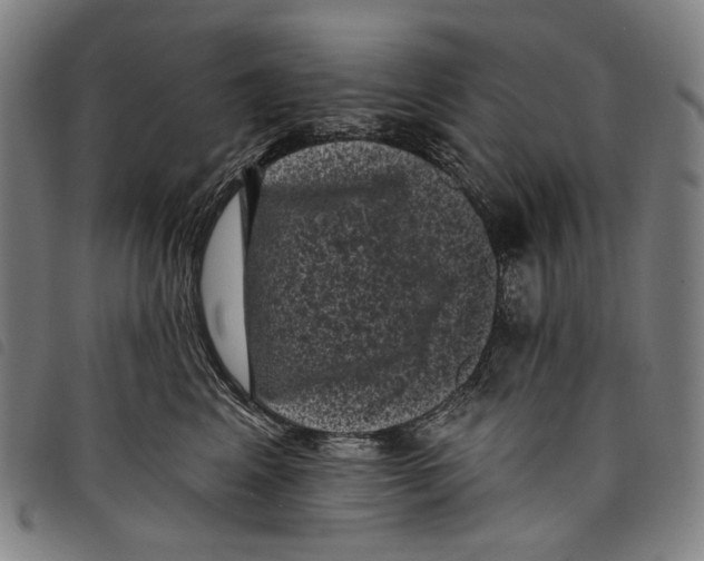 X0000097790617200804041237