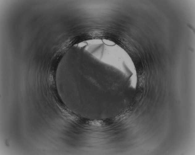 X0000097790618200804041237