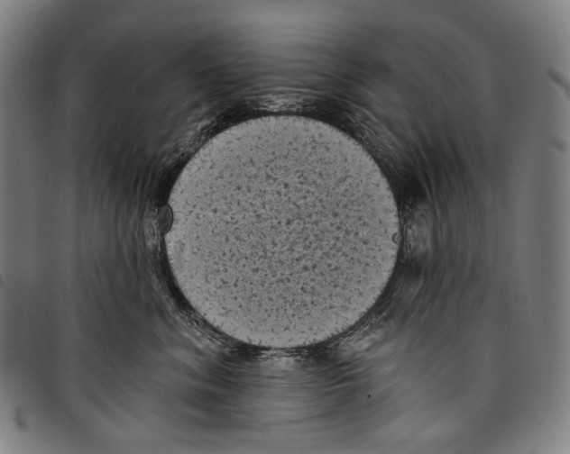 X0000097790620200804041237