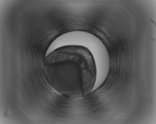 X0000097790621200804041237