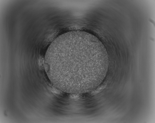 X0000097790624200804041237