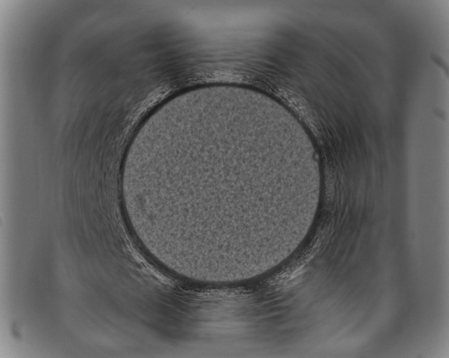 X0000097790625200804041236