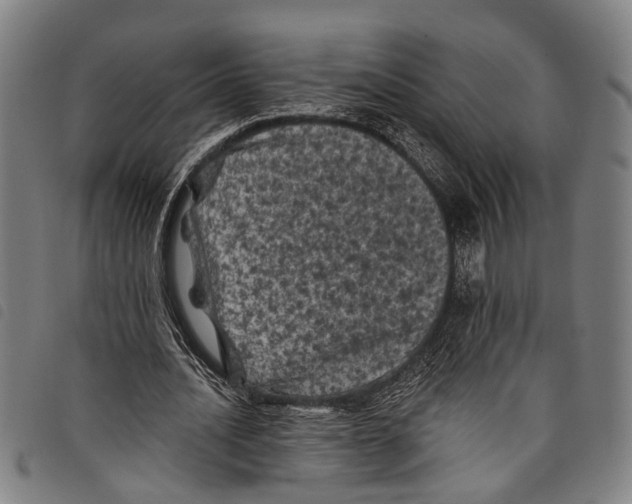X0000097790628200804041236
