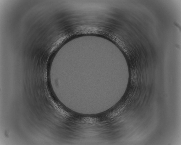 X0000097790629200804041236