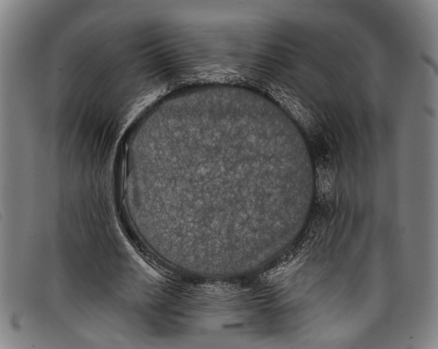 X0000097790630200804041236