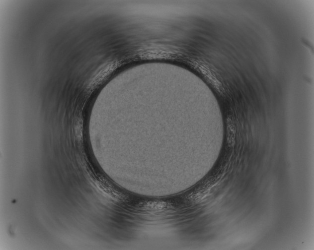 X0000097790631200804041236