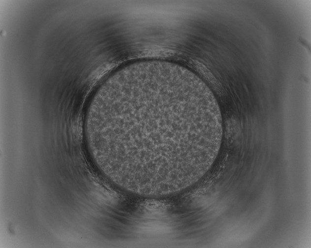 X0000097790632200804041236