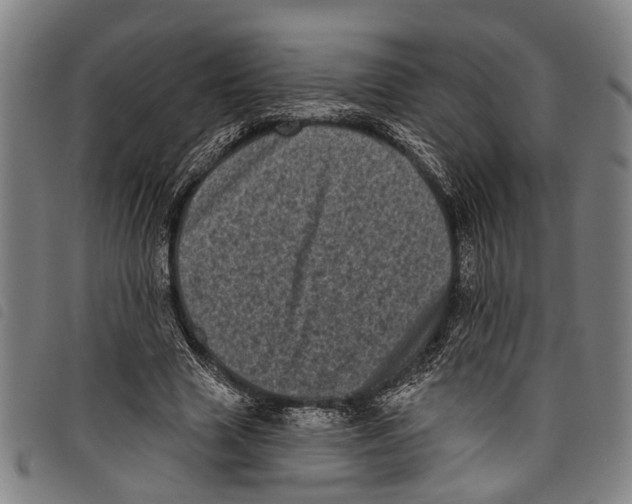 X0000097790633200804041236