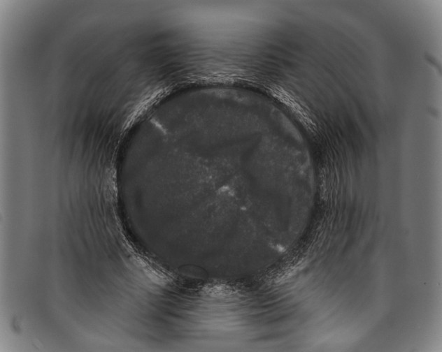 X0000097790634200804041236