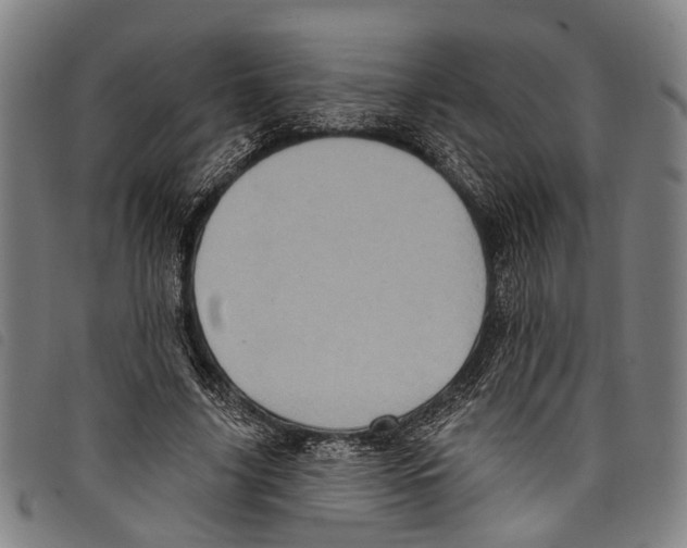 X0000097790635200804041236