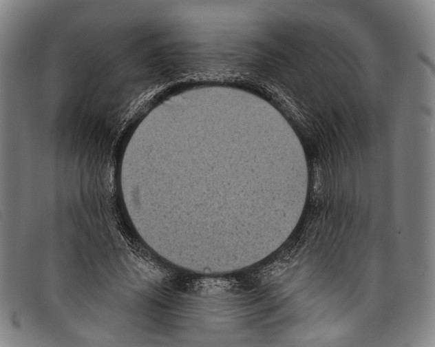 X0000097790636200804041236