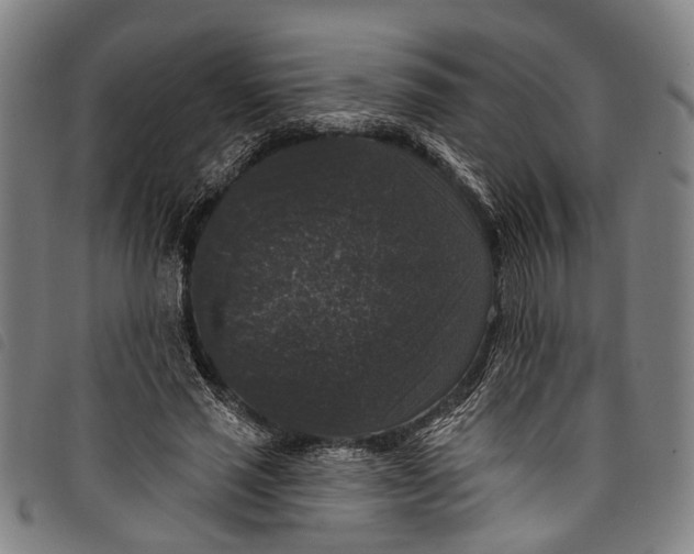 X0000097790637200804041236