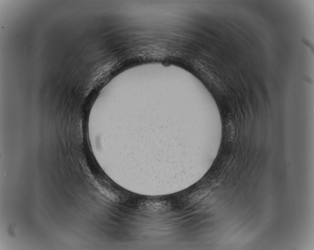 X0000097790638200804041237