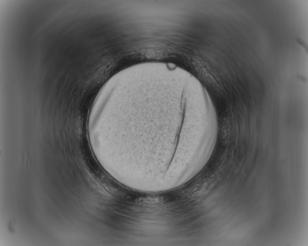 X0000097790639200804041237