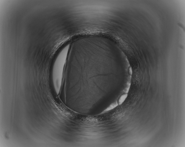 X0000097790640200804041237