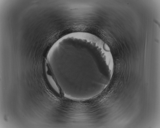 X0000097790641200804041237
