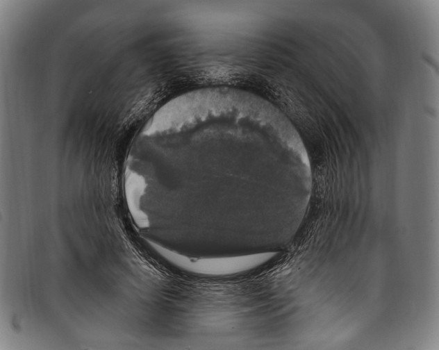 X0000097790642200804041237