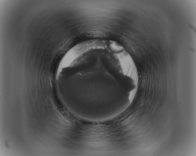 X0000097790643200804041237