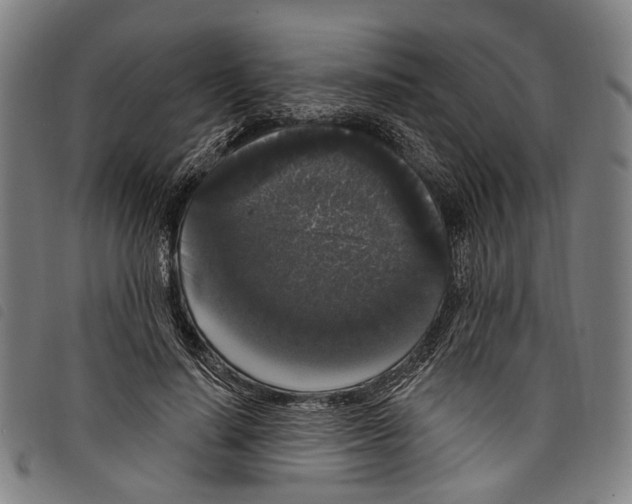 X0000097790644200804041237
