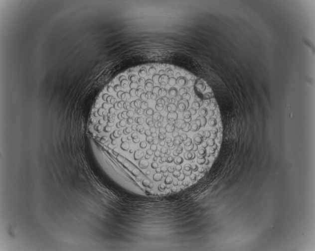 X0000097790646200804041237