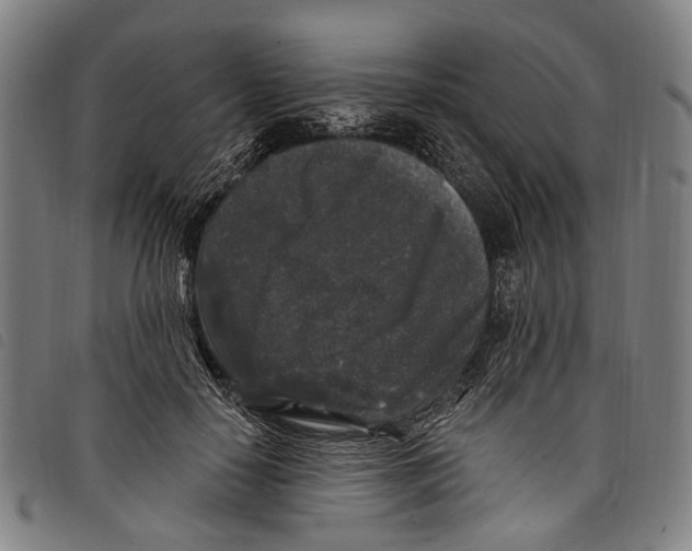 X0000097790650200804041237