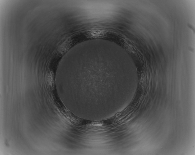 X0000097790651200804041237