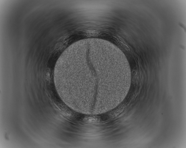 X0000097790655200804041237