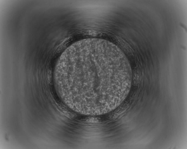 X0000097790656200804041237