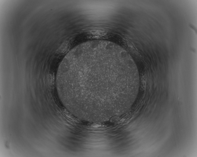X0000097790657200804041237
