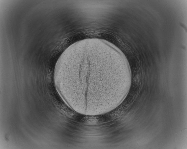 X0000097790658200804041237