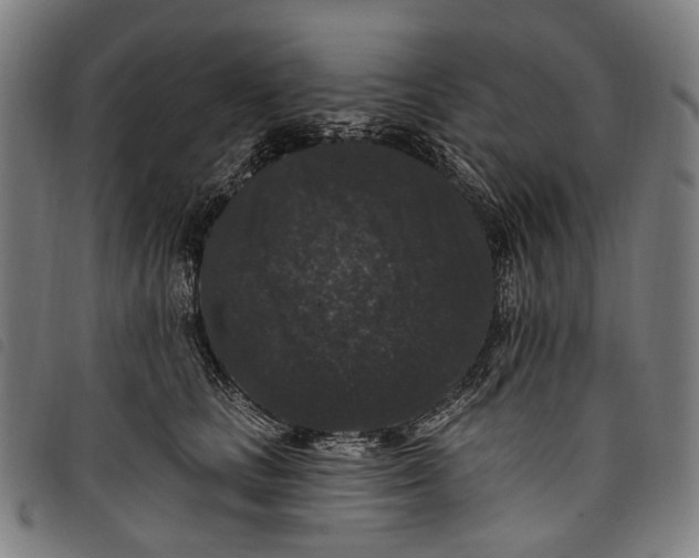 X0000097790661200804041237