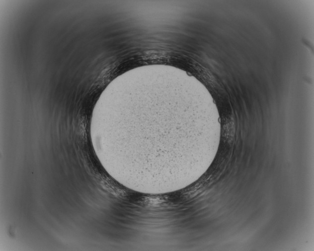 X0000097790662200804041237