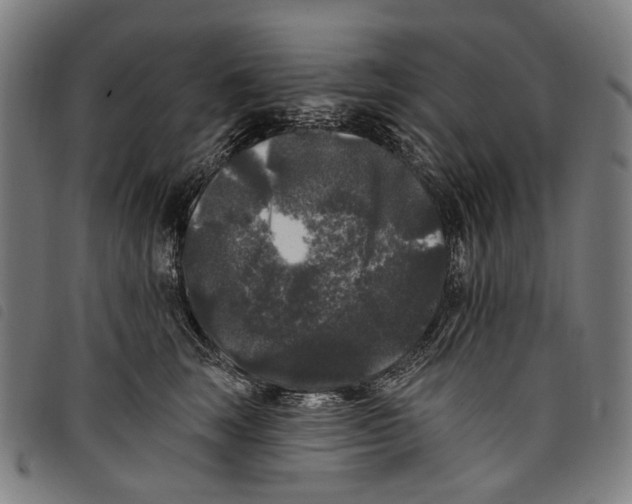 X0000097790663200804041237