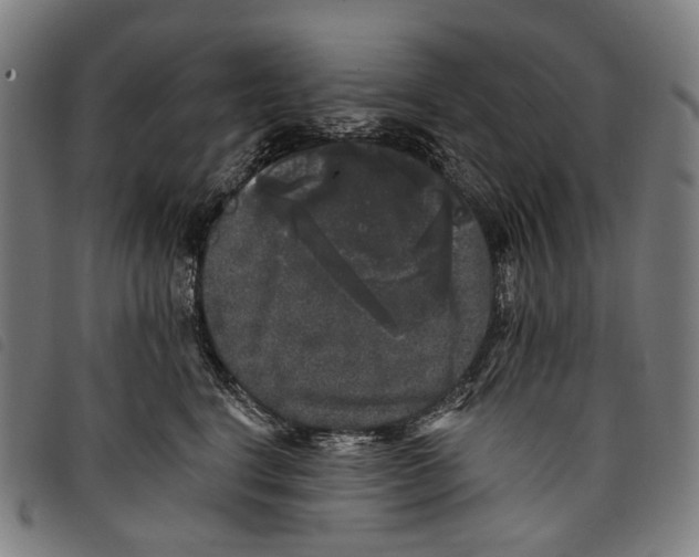 X0000097790664200804041237