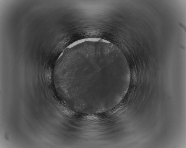 X0000097790668200804041237