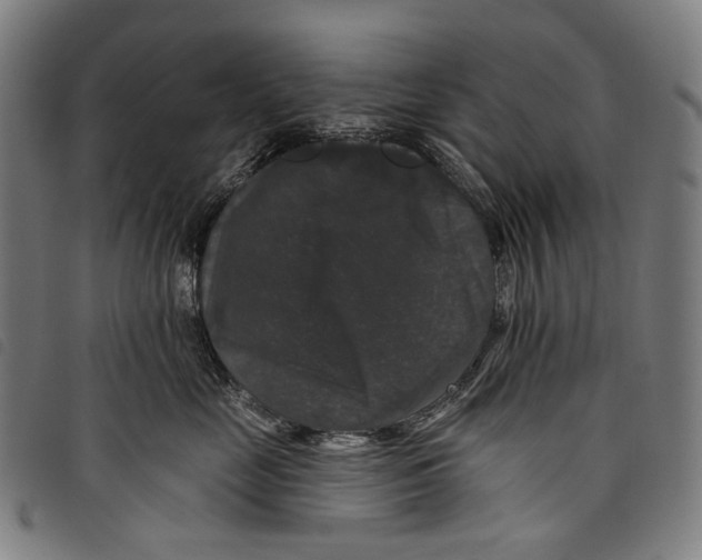 X0000097790669200804041237