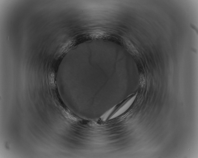 X0000097790670200804041237