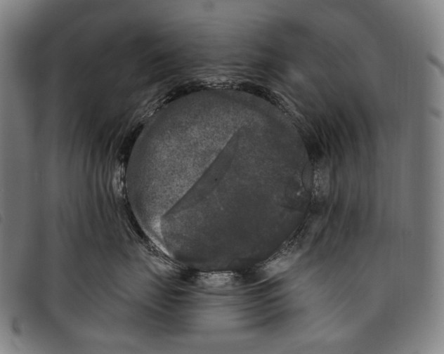 X0000097790671200804041237