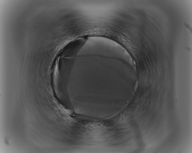 X0000097790673200804041236