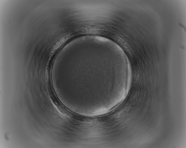 X0000097790674200804041236